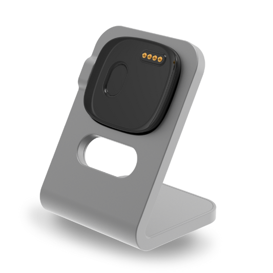 Adventurer 2 Charging Stand Kit